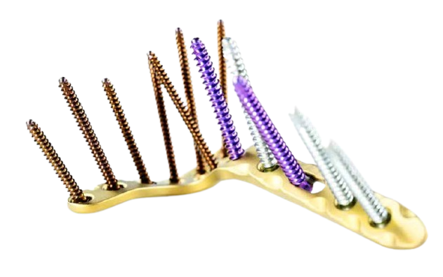 INTEOS® TibiAtlas Platte